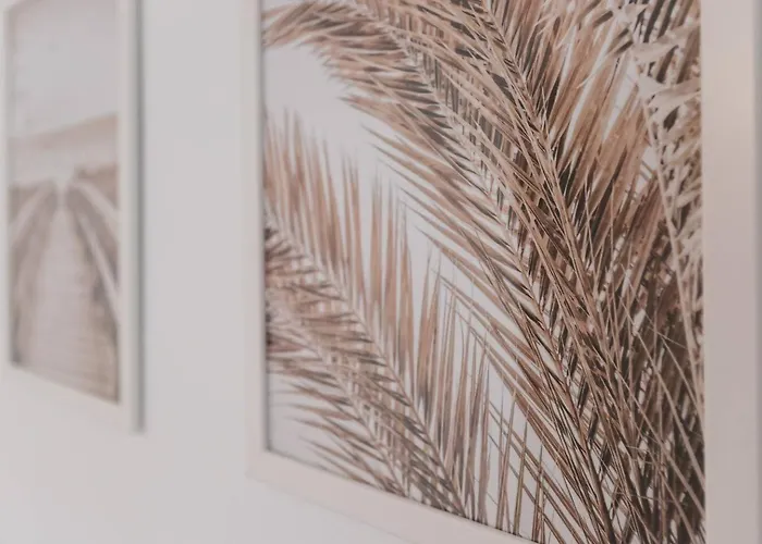 Apartmán Casa Sanchez. Old Town *